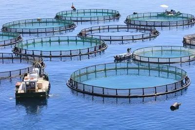Aquaculture 400x267