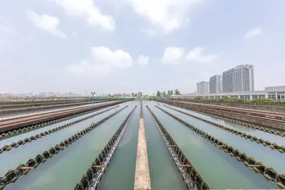 Drinking Water Plant 400x267